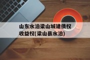 山东水泊梁山城建债权收益权(梁山县水泊)