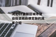 河北gy县新区城市建设投资政府债定融的简单介绍