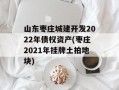 山东枣庄城建开发2022年债权资产(枣庄2021年挂牌土拍地块)