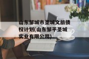 山东邹城市圣城文旅债权计划(山东邹平圣城实业有限公司)