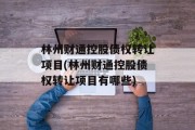 林州财通控股债权转让项目(林州财通控股债权转让项目有哪些)