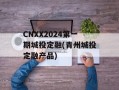 cnxx2024第一期城投定融(青州城投定融产品)
