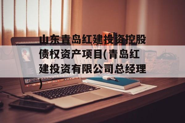 山东青岛红建投资控股债权资产项目(青岛红建投资有限公司总经理)